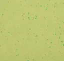 Green Zest