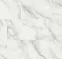 Calacatta Venosa Gold