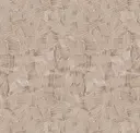 Brushwood