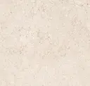 Bone