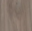 Acacia