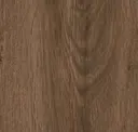 Sequoia