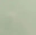 Celadon