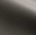 Rhino
