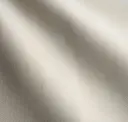 Bone