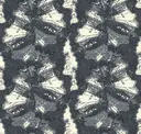 Chrysalis
