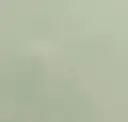 Celadon