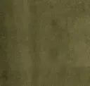 Kaki