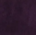 Aubergine