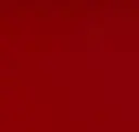 Rot