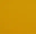 Squash