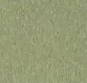 Green Olive