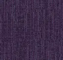 Aster