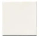 Antique White Gloss