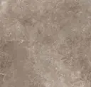 Dove