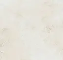 Plaster