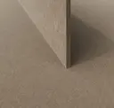 Desert Sand - Tan
