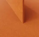 Tiger Orange