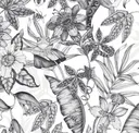 Graphite