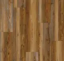 Golden Moab Pine
