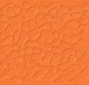 D64