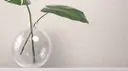 Zinc
