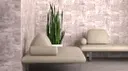 Paragon