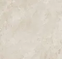 Bone