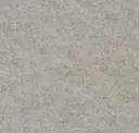 Pearl Beige