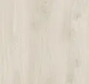 Tusk