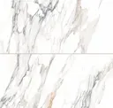 Calacatta Borghini Warm