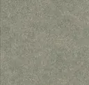 Flax