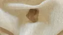 Pebble - Sheers