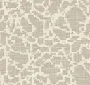 81 Ivory