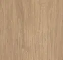 Light Brown Chestnut