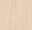 American Cypress
