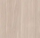 Mountain Hemlock