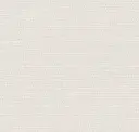 Plaster