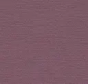 Currant