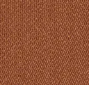 Cinnamon