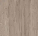 Gray Pecan