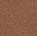 Spice