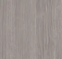 Gray Elm
