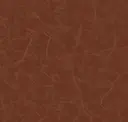 Pigment
