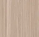 Eucalyptus