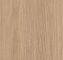 European Rift Ash