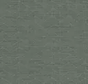 Spruce