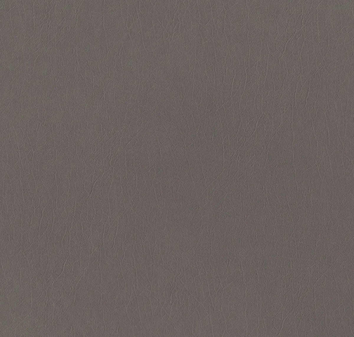 Main