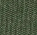 Verdant