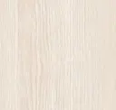 Sugar Maple
